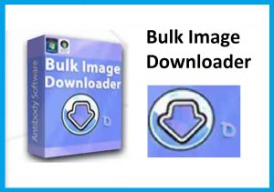 Bulk Image Downloader 6.00.0 With Crack Free Download [2021]